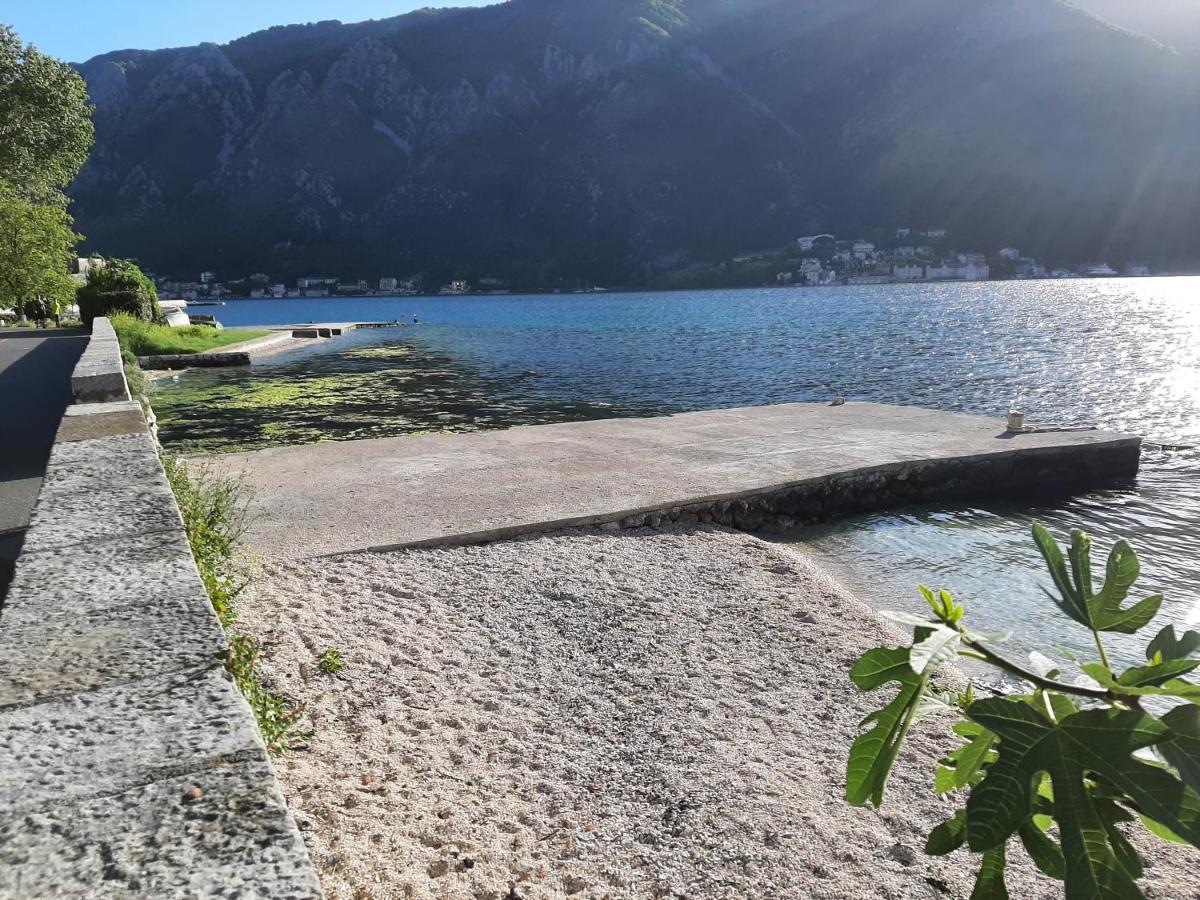Apartments Tiha Noc Kotor Exteriér fotografie